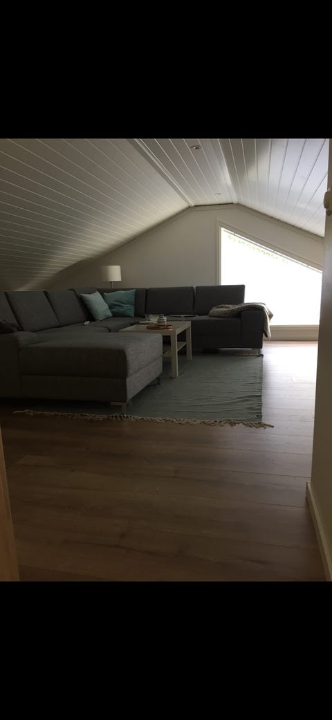 Bilde 2 av annonsen