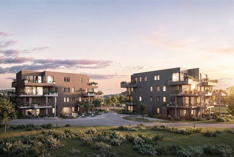 Bilde 1 av annonsen