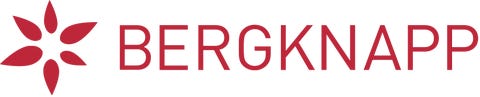 Bergknapp AS-logo