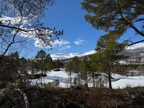 Bilde 1 av annonsen