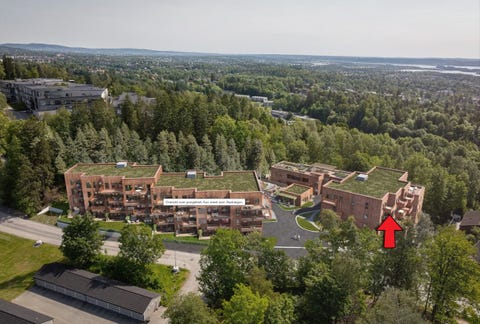 Bilde 2 av annonsen