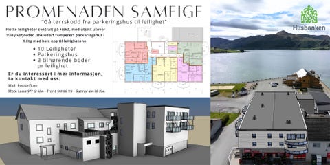Bilde 1 av annonsen