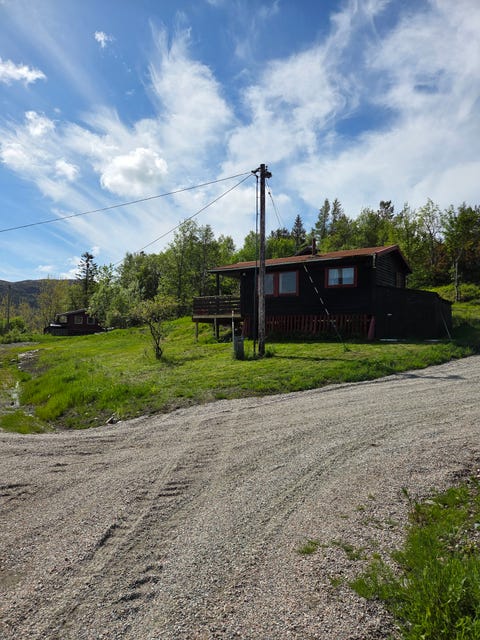 Bilde 1 av annonsen