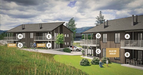 Bilde 1 av annonsen