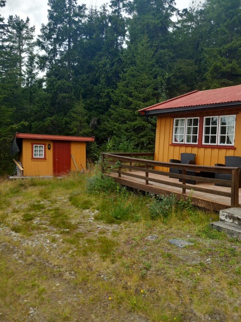 Bilde 2 av annonsen