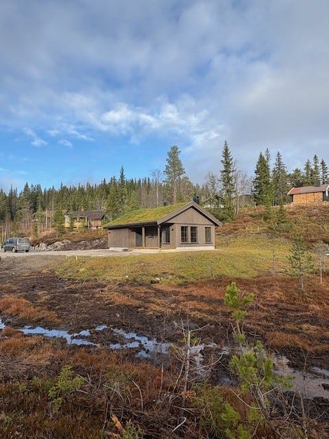 Bilde 1 av annonsen