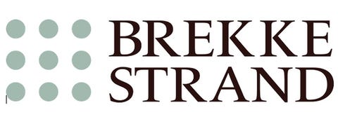 Brekke & Strand Akustikk AS logo
