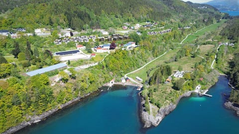 Bilde 2 av annonsen