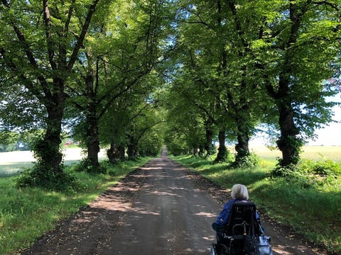 Aberia Omsorg AS logo