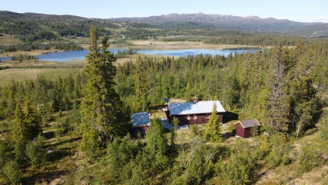 Bilde 1 av annonsen