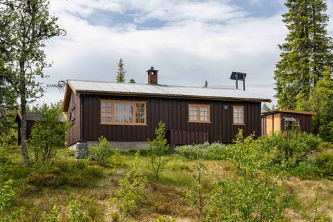 Bilde 2 av annonsen