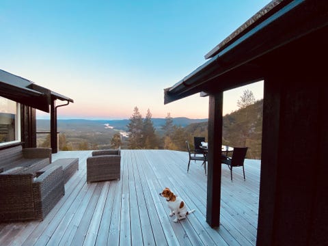 Bilde 2 av annonsen