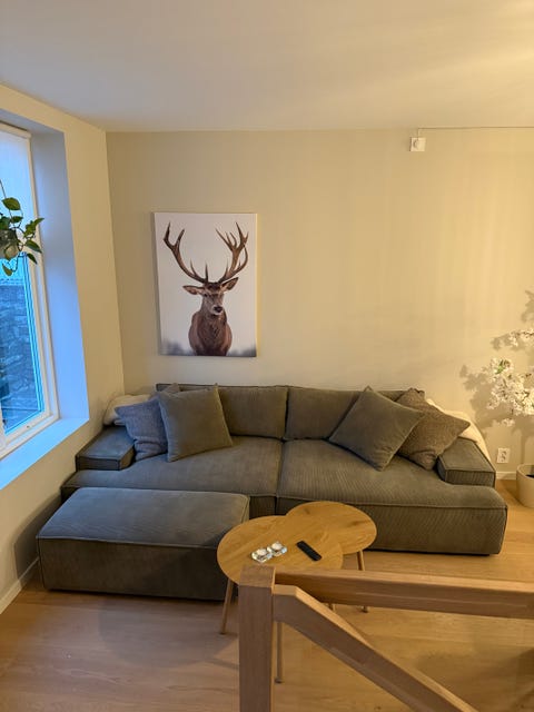 Bilde 2 av annonsen