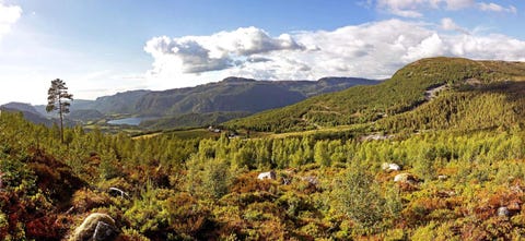 Bilde 2 av annonsen