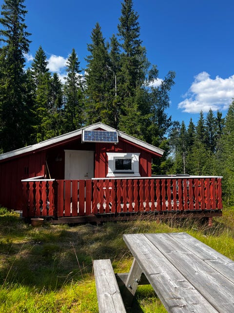 Bilde 1 av annonsen