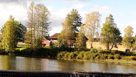 Løvenskiold Skog-logo