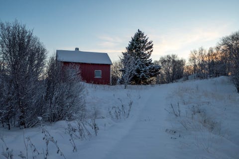 Bilde 1 av annonsen