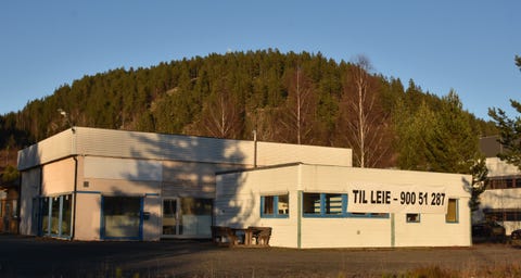 Bilde 1 av annonsen