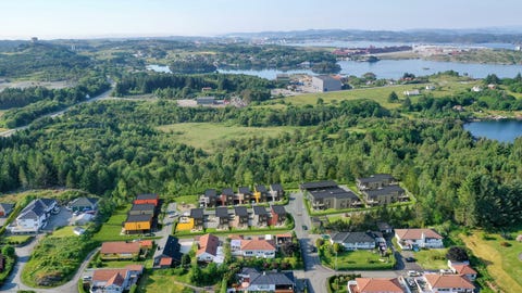 Bilde 1 av annonsen