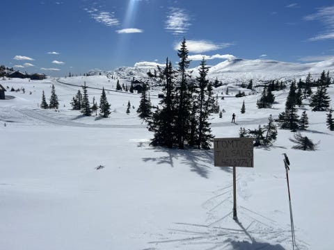 Bilde 1 av annonsen