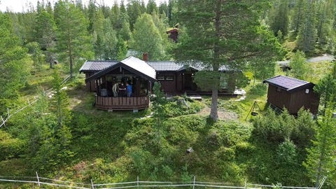 Bilde 1 av annonsen