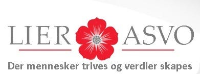 Lier ASVO VTA/AFT AS logo