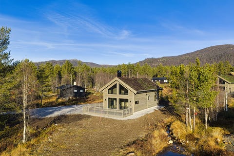 Bilde 1 av annonsen