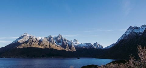 Dedicare Nurse NO logo