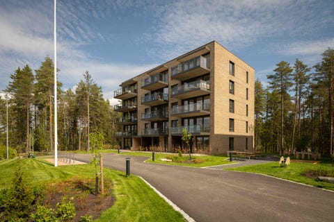 Bilde 1 av annonsen