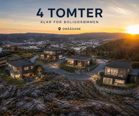 Bilde 1 av annonsen