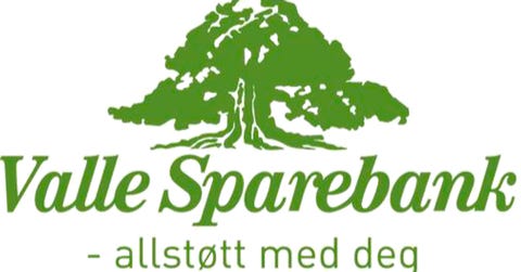 Valle Sparebank-logo