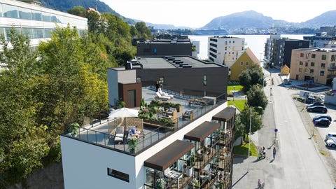 Bilde 1 av annonsen