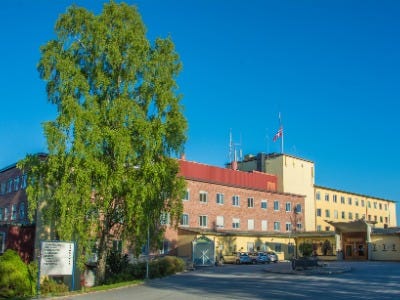 Sykehuset Østfold HF-logo