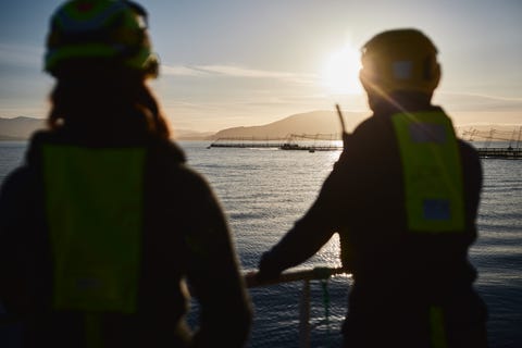 Bremnes Seashore AS logo