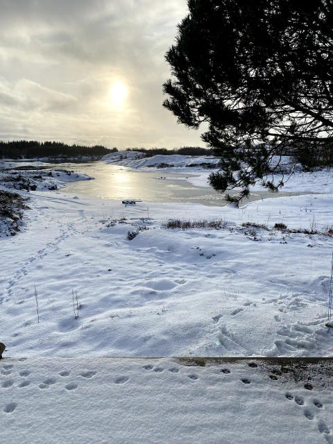 Bilde 1 av annonsen