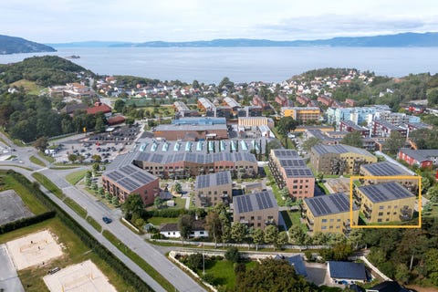 Bilde 1 av annonsen