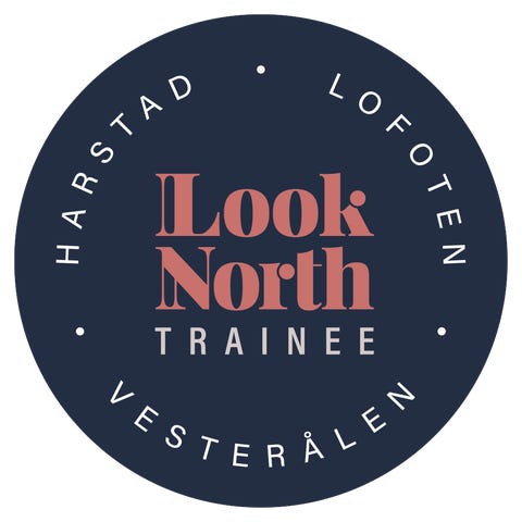 Look North Trainee logo