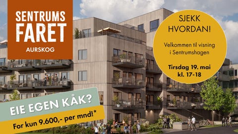Bilde 1 av annonsen