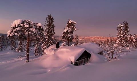 Bilde 2 av annonsen