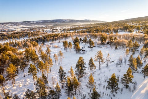 Bilde 2 av annonsen