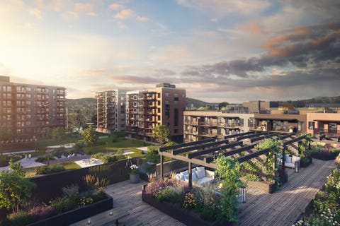 Bilde 2 av annonsen