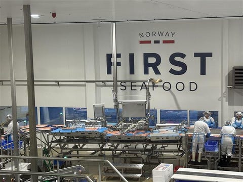 First Seafood AS logo