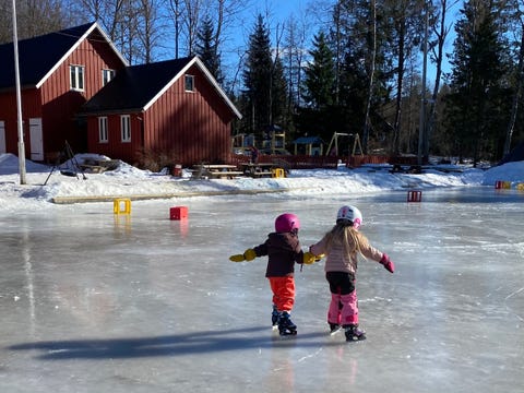Solemskogen Naturbarnehage logo