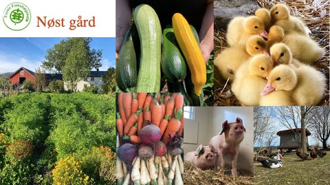 FOSEN FOLKEHØGSKOLE logo