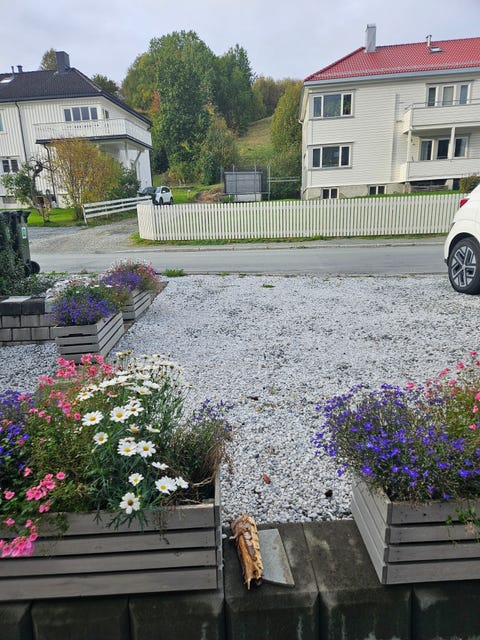 Bilde 2 av annonsen