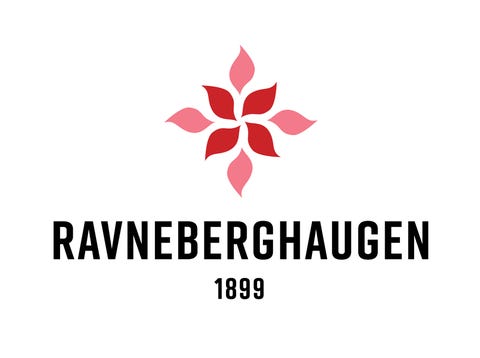 Stiftinga Ravneberghaugen logo