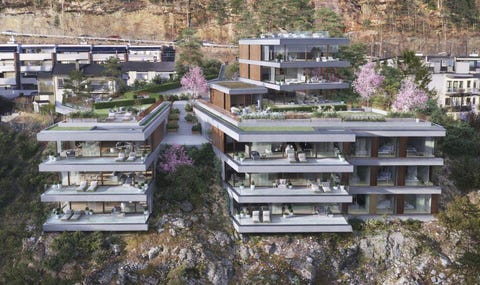 Bilde 1 av annonsen