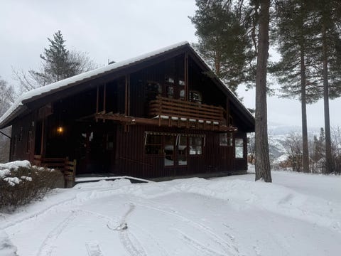 Bilde 1 av annonsen