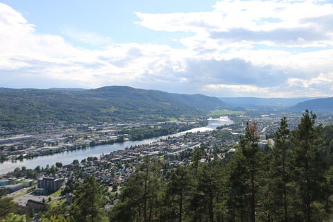 Buskerud fylkeskommune logo