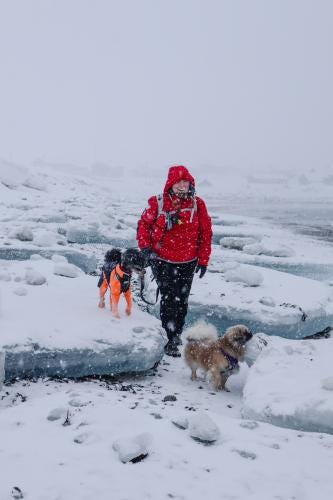 Berlevåg kommune logo